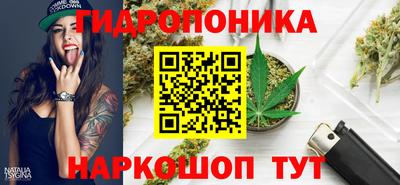 крисы Волгодонск