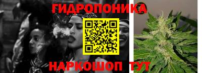 ПСИЛОЦИБИНОВЫЕ ГРИБЫ Балахна