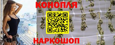 СК Балашиха