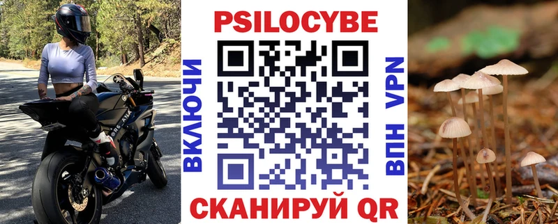 цена   Губаха  Галлюциногенные грибы мухоморы 