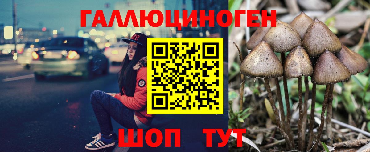 Псилоцибиновые грибы GOLDEN TEACHER  где можно купить наркотик  Галлюциногенные грибы Magic Shrooms  Губаха  Вход с VPN 